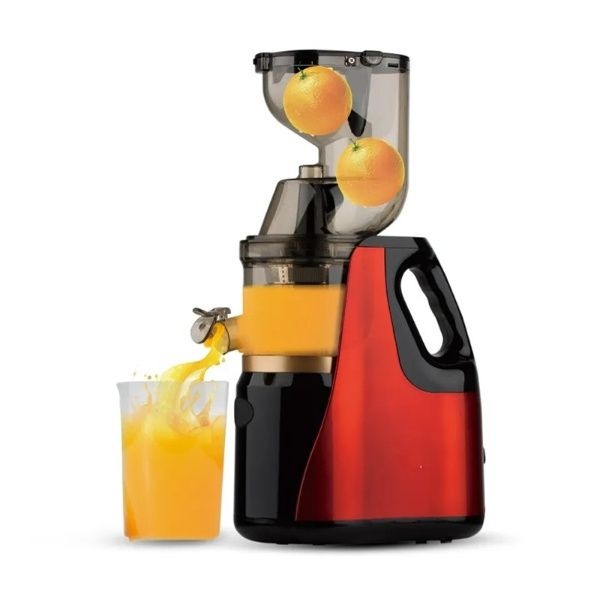 Professional Slow Juicer